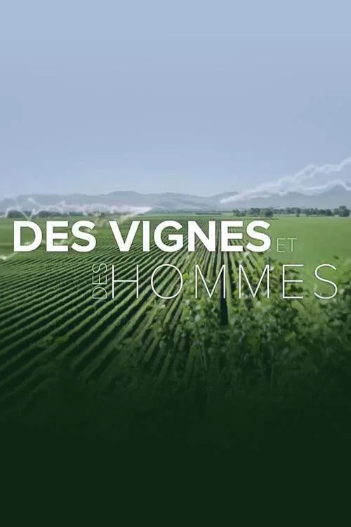 Des vignes et des hommes постер