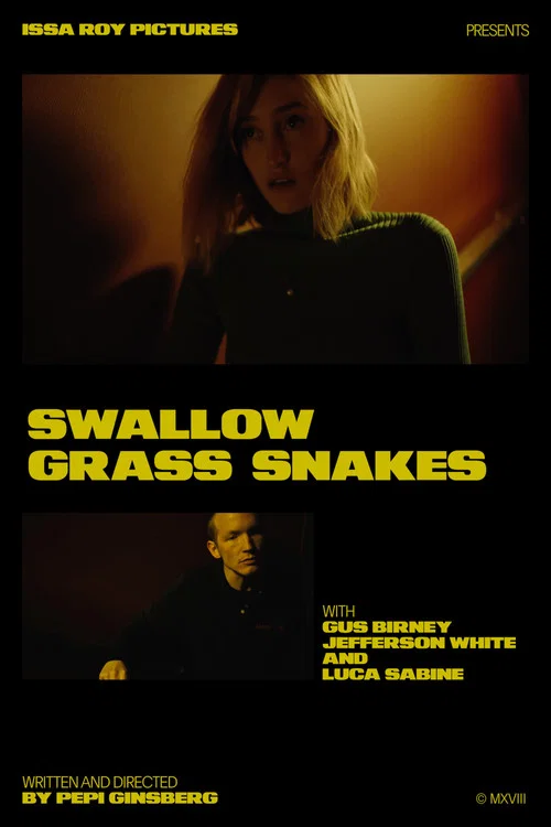 Swallow Grass Snakes постер