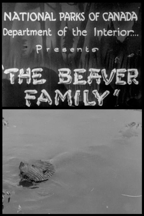 Beaver Family постер