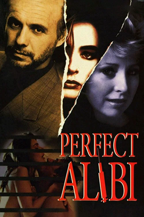 Perfect Alibi постер