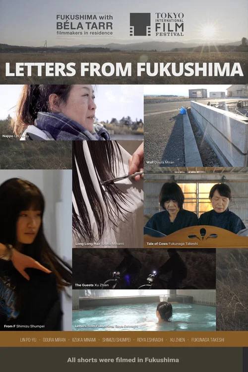 LETTERS FROM FUKUSHIMA постер
