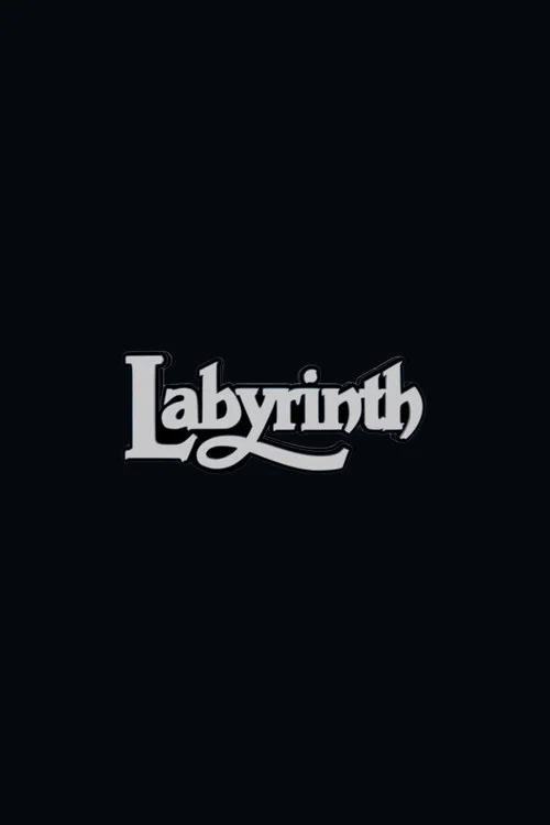 Labyrinth 2 постер