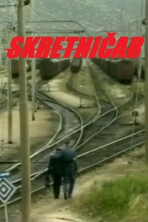 Skretničar постер