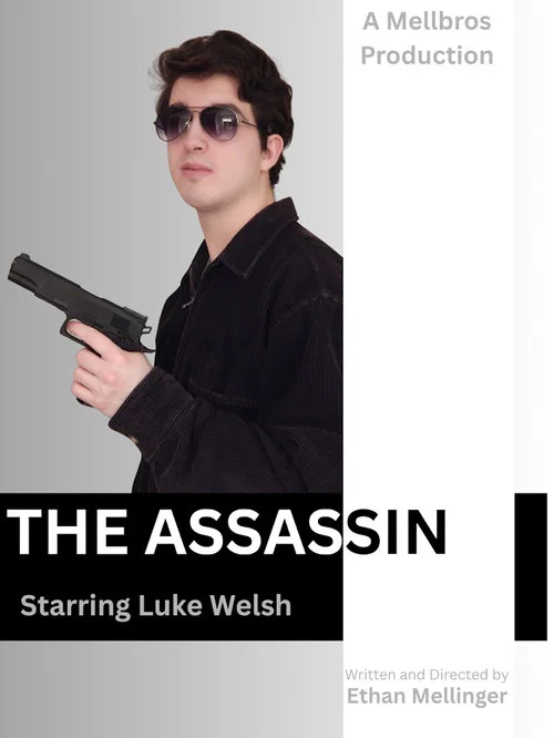 The Assassin постер