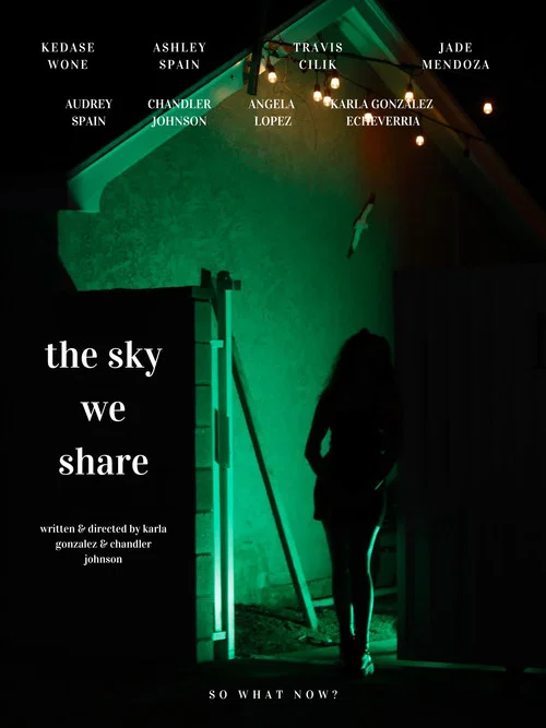 The Sky We Share постер
