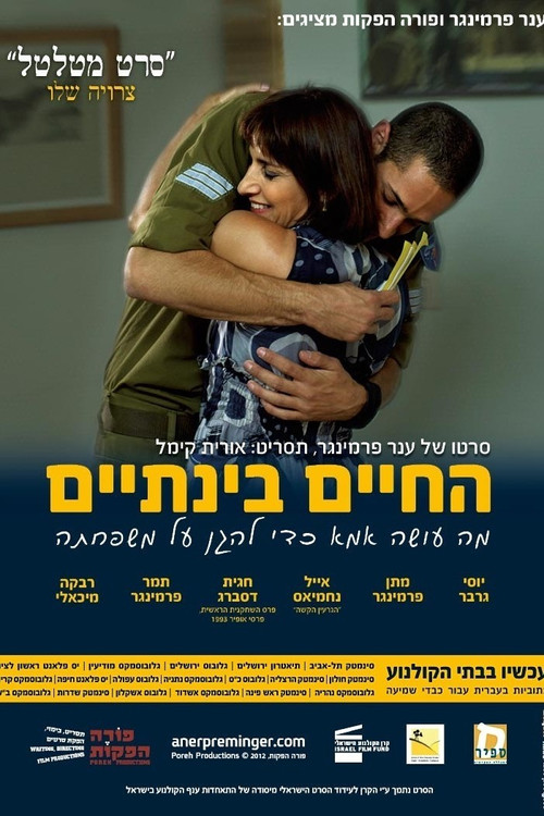 החיים בינתיים постер