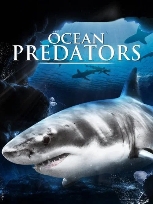 Ocean Predators постер
