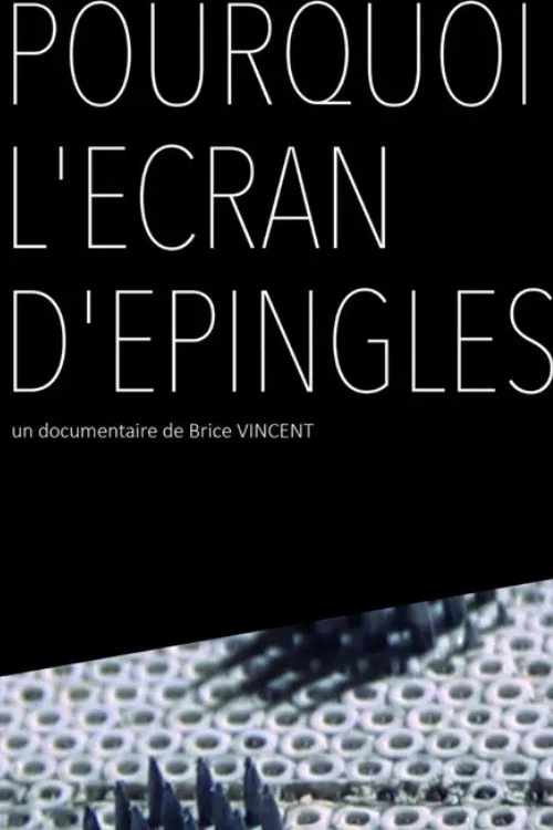 Pourquoi l'écran d'épingles ? постер