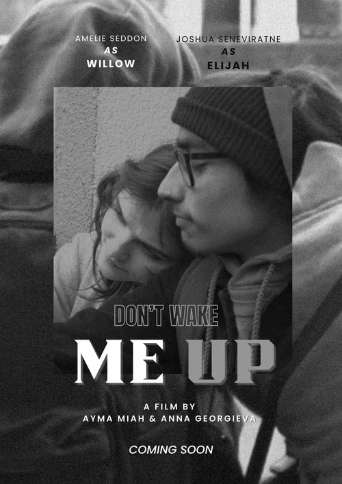 Don't Wake Me Up постер