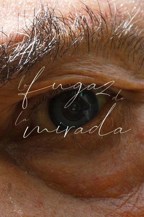 Lo Fugaz de la Mirada постер