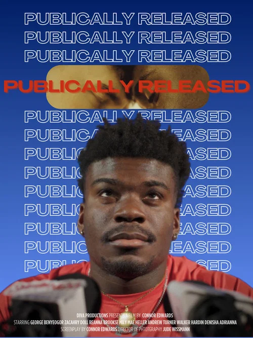 Publicly Released постер