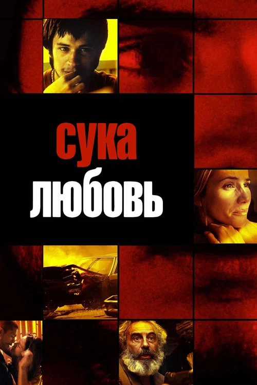 Сука-любовь постер