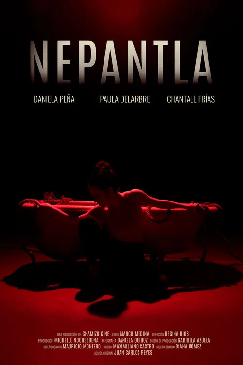 Nepantla постер