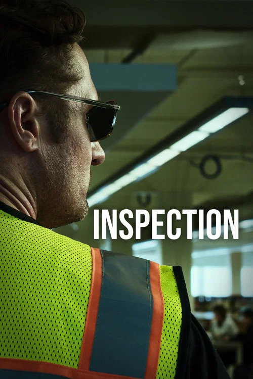 Inspection постер