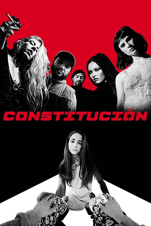 Constitución постер