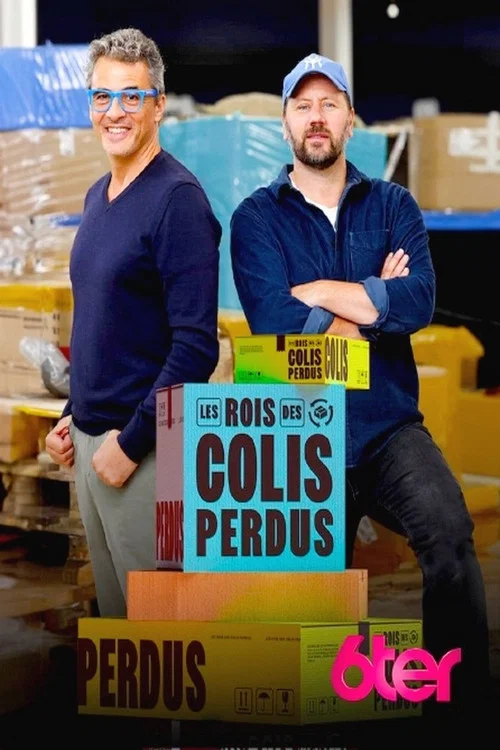 Les rois des colis perdus постер