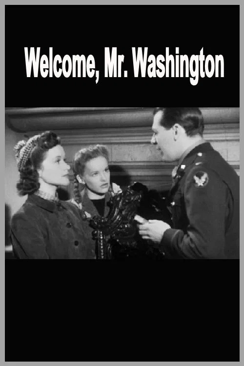 Welcome, Mr Washington постер