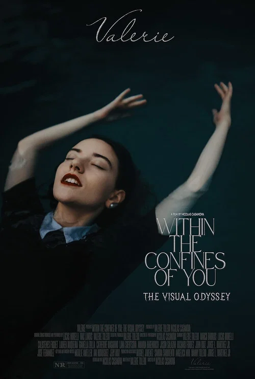 Within the Confines of You: The Visual Odyssey постер