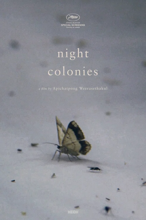 Night Colonies постер