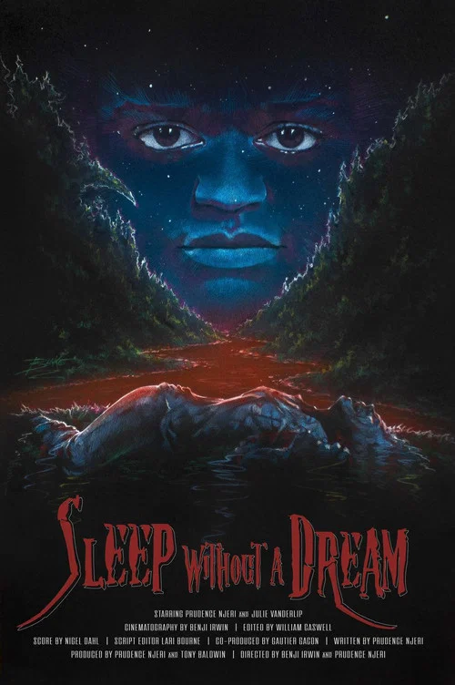 Sleep Without a Dream постер
