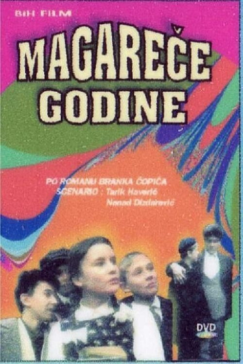Magareće godine постер