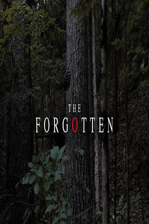 The Forgotten постер