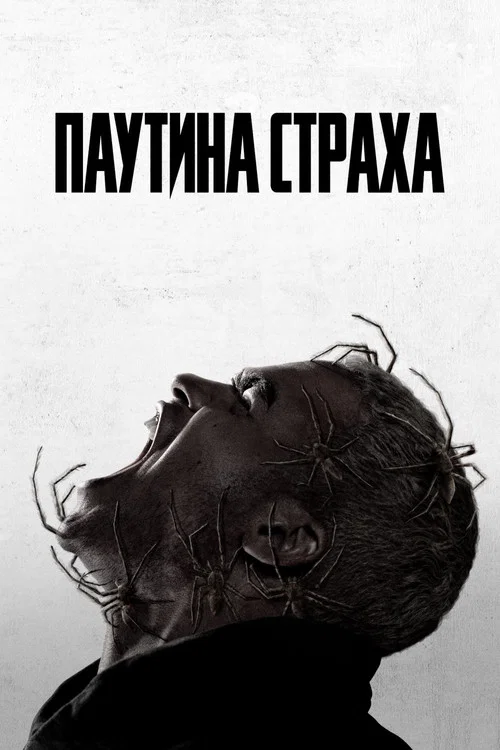 Паутина страха постер