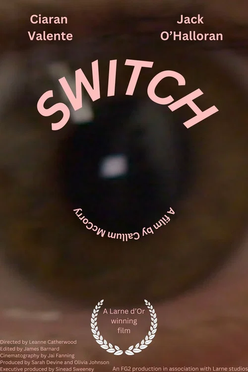 Switch постер