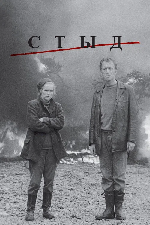 Стыд постер