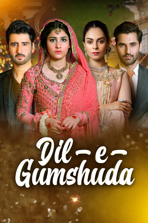 Dil e Gumshuda постер