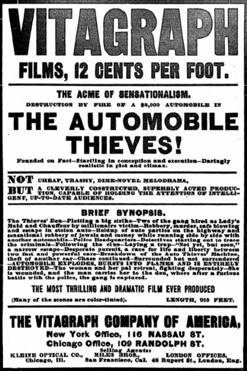 The Automobile Thieves постер