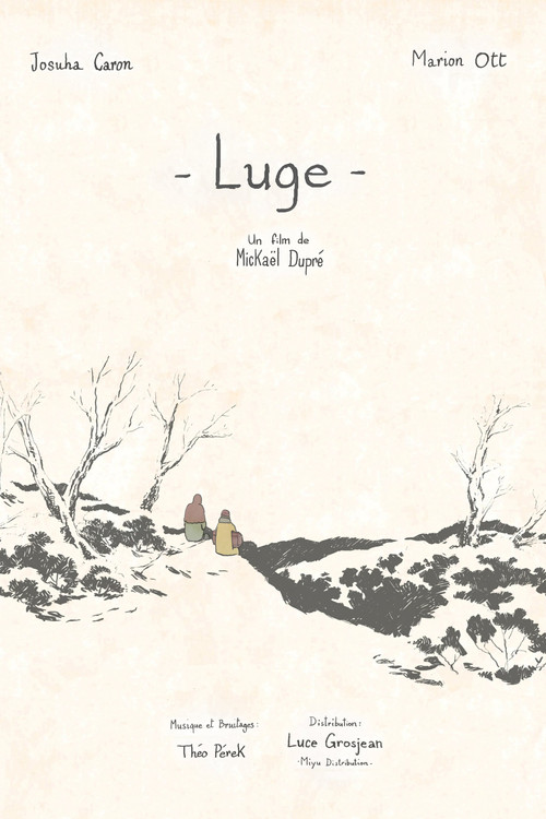Luge постер