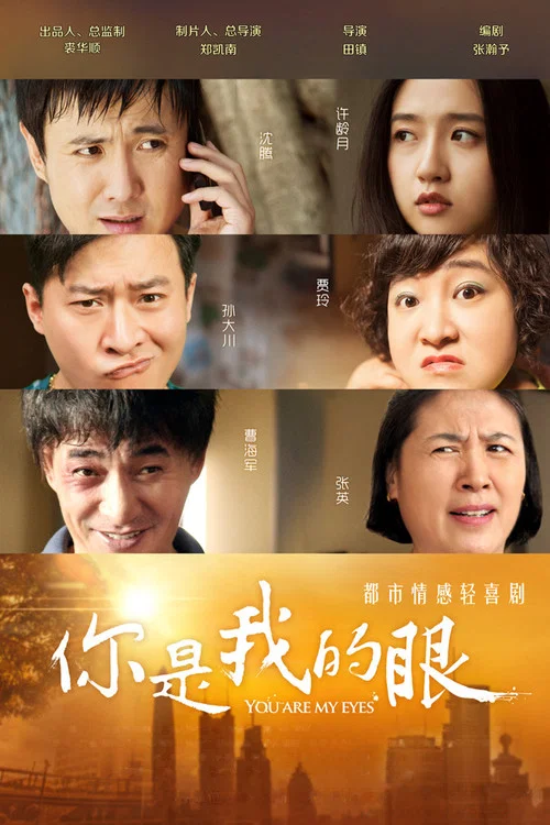 你是我的眼 постер