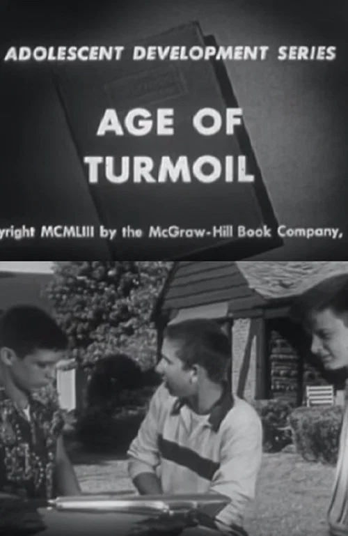 Age of Turmoil постер