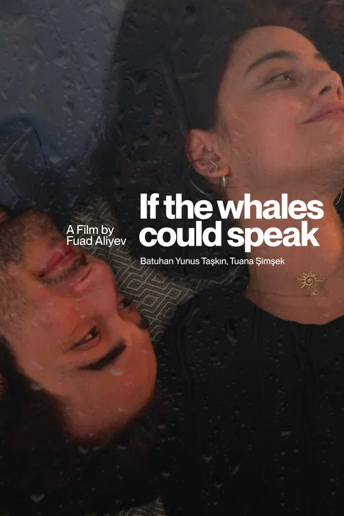 If The Whales Could Speak постер