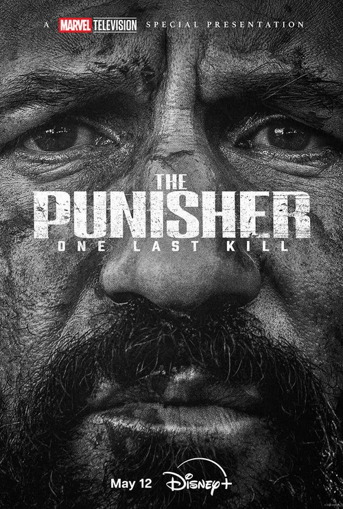 The Punisher: One Last Kill постер