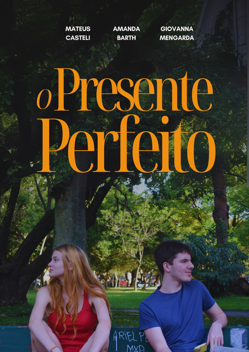 O Presente Perfeito постер