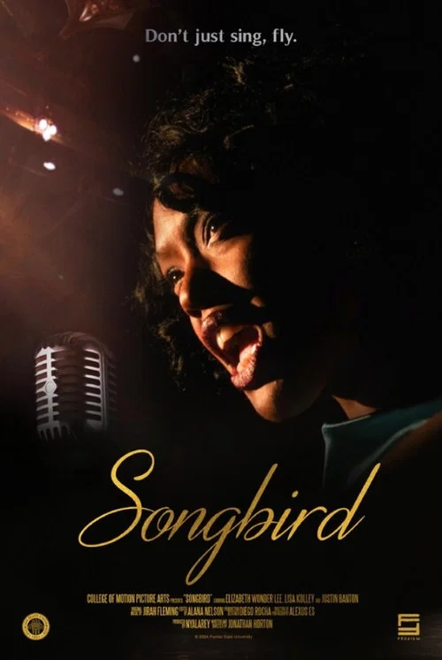 Songbird постер