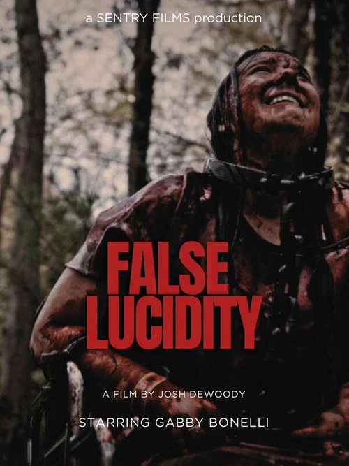 False Lucidity постер