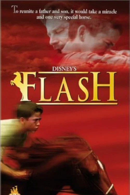 Flash постер