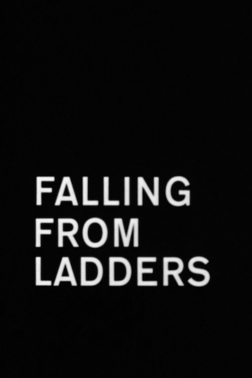 Falling from Ladders постер
