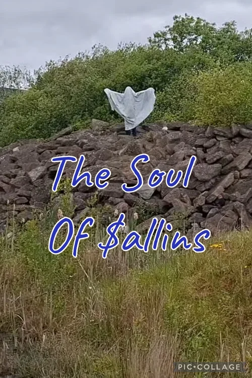 The Soul Of Sallins постер