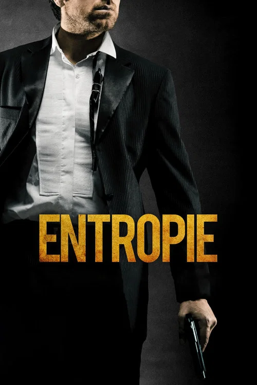 Entropie постер