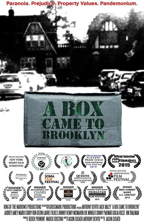 A Box Came to Brooklyn постер