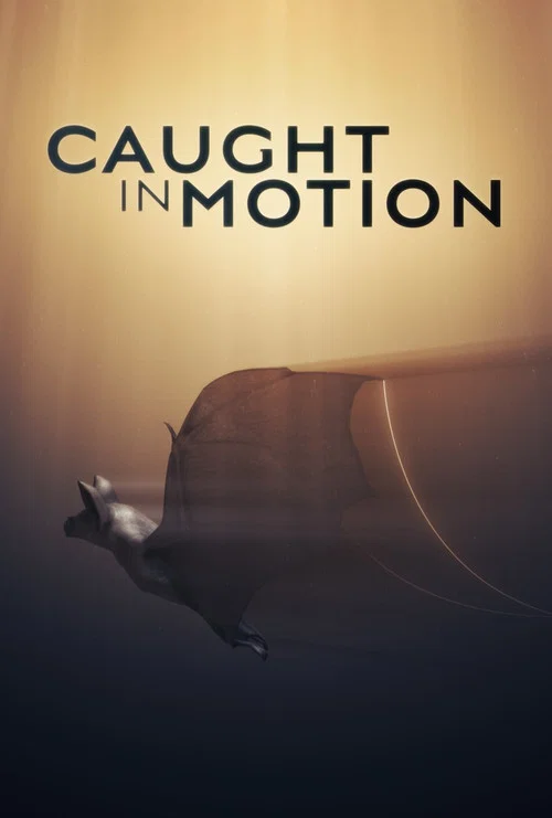 Caught in Motion постер