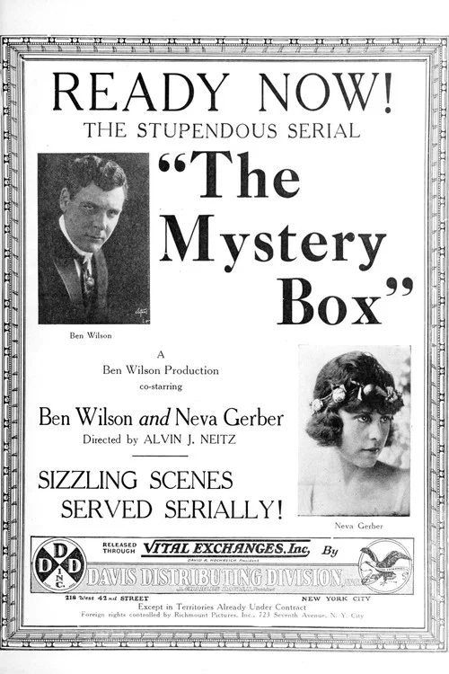 The Mystery Box постер