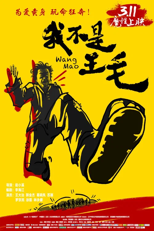 我不是王毛 постер