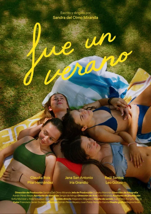 Fue un verano постер