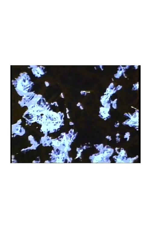 What The Water Said, Nos. 4-6 постер