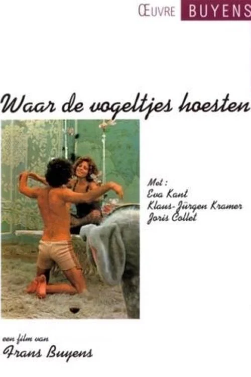Waar de vogeltjes hoesten постер
